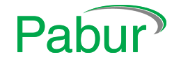 logo_Pabur1.png