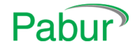 logo_Pabur1.png